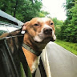 Meet your Posher, Patrick